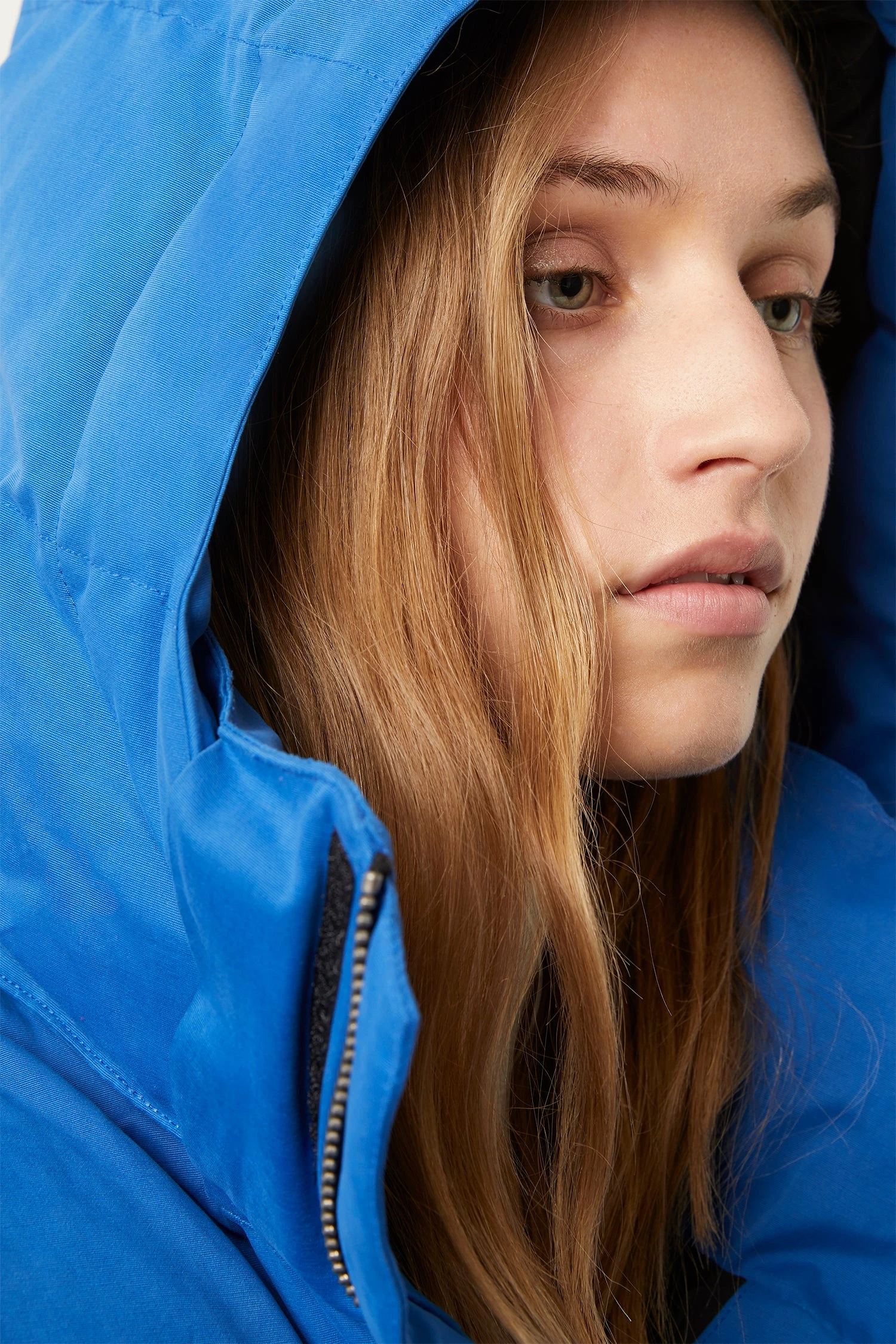 French Connection Micro Cotton Drill Puffer Jacket Coats & Jackets 6 French Connection Micro Cotton Drill Puffer Jacket Coats & Jackets