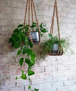French Connection Large Hanging Beaded Planter Home Accessories