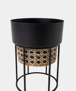 French Connection New In Short Geo Cane Planter