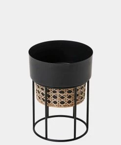 French Connection New In Short Geo Cane Planter