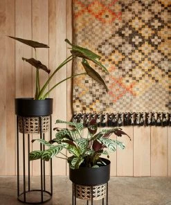 French Connection New In Short Geo Cane Planter