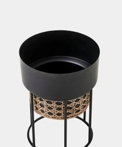 French Connection New In Short Geo Cane Planter