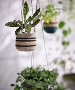 French Connection New In Small Hanging Basket