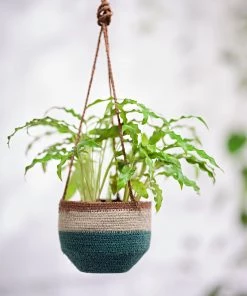French Connection Small Green Hanging Basket New In
