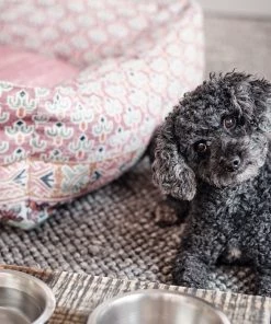 French Connection Pink Poppy Dog Bed New In