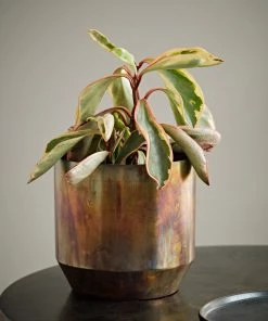 French Connection New In Medium Antique Planter 5 French Connection New In Medium Antique Planter